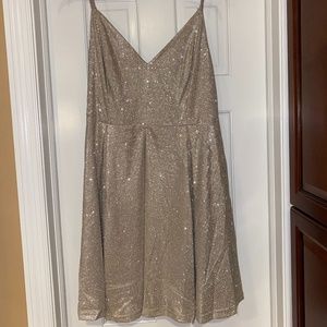 Lookout Weekend Sparkly Silver Skater Dress